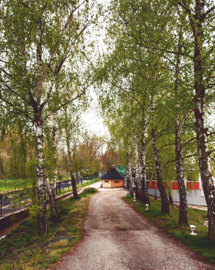 Au Hameau De L'Ecluse Proche Europa-Park Bed & Breakfast Marckolsheim Bagian luar foto